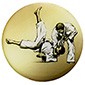 PCA15-judo